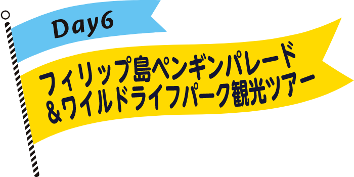 フィリップ島ペンギンパレード＆ワイルドライフパーク観光ツアー