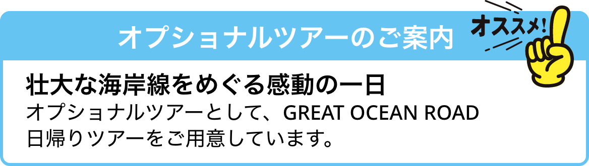 オプショナルツアーのご案内